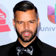 Ricky Martin- Livin la vida loca