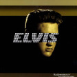 Elvis Presley - Rubberneckin' (Paul Oakenfold Remix)
