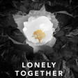 Avicii feat. Rita Ora - Lonely Together