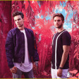 Zedd & Liam Payne - Get Low