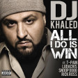 DJ Khaled (ft Ludacris, Snoop Dogg, Rick Ross & T-Pain) -  All I Do Is Win
