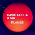 David Guetta feat. Sia -  Flames