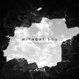Avicii - Without You ft. Sandro Cavazza