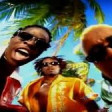 Who Let The Dogs|Baha Men